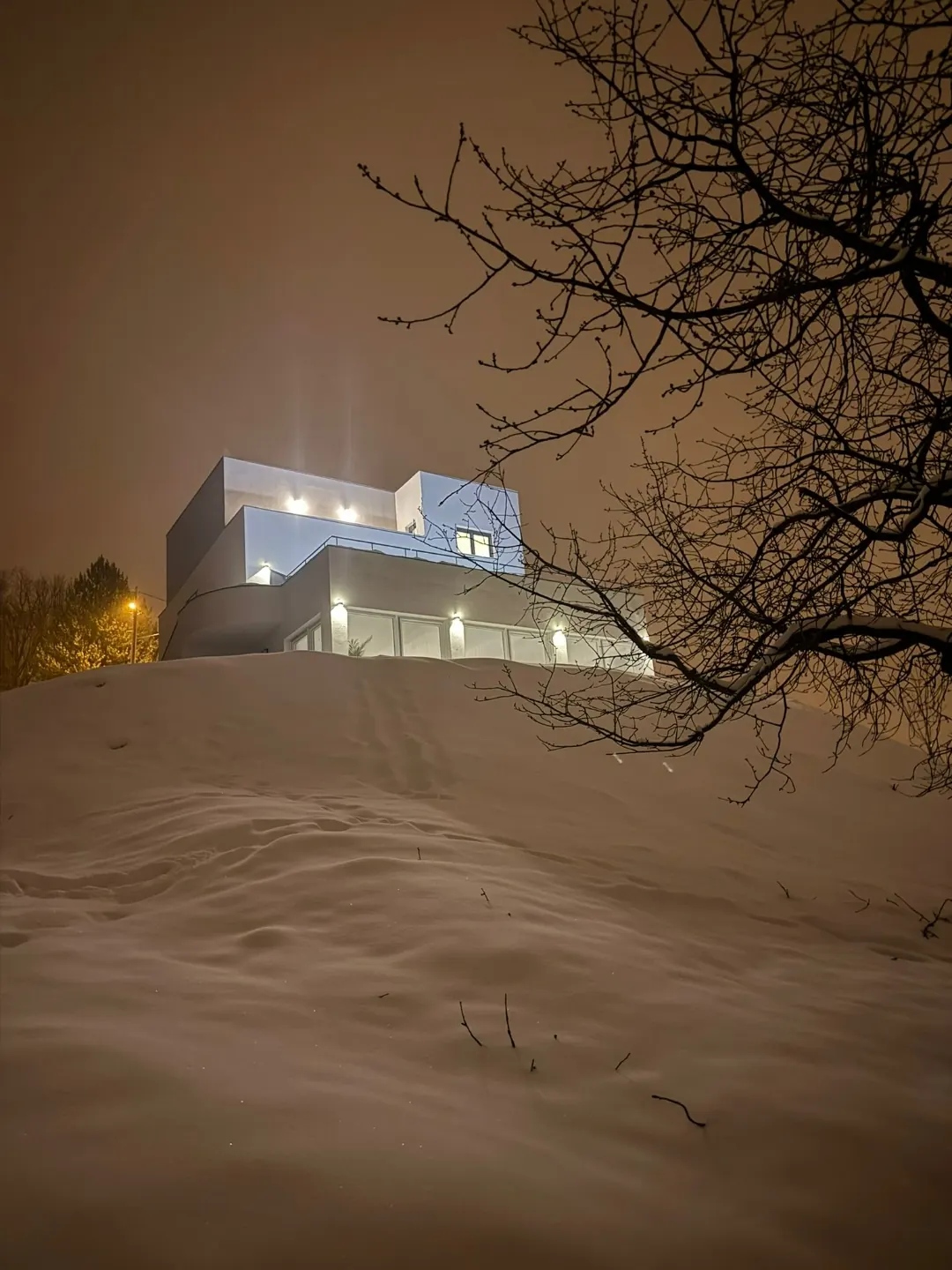 Snow night